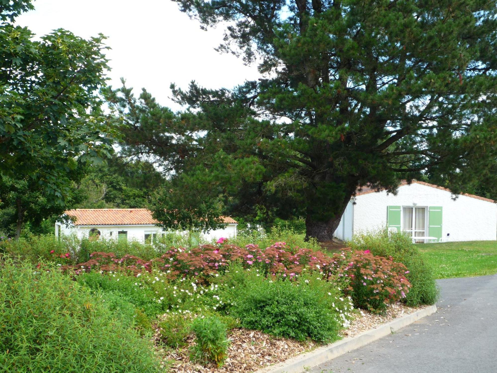 Village Vacances De Chantonnay Luaran gambar
